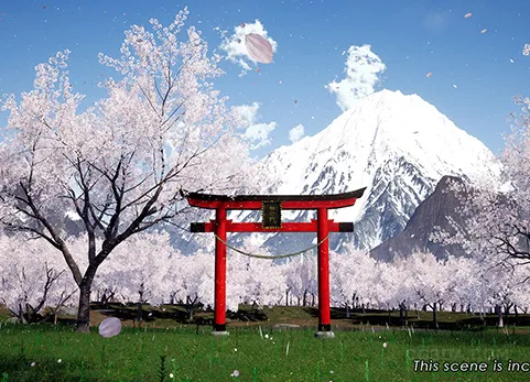 樱花树 - CHERRY TREE - SAKURA