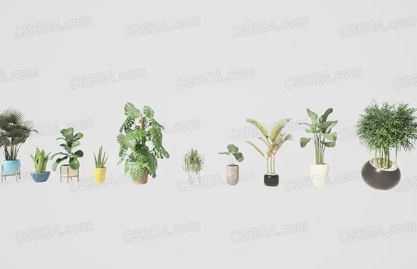 植物盆栽-Archviz Plants