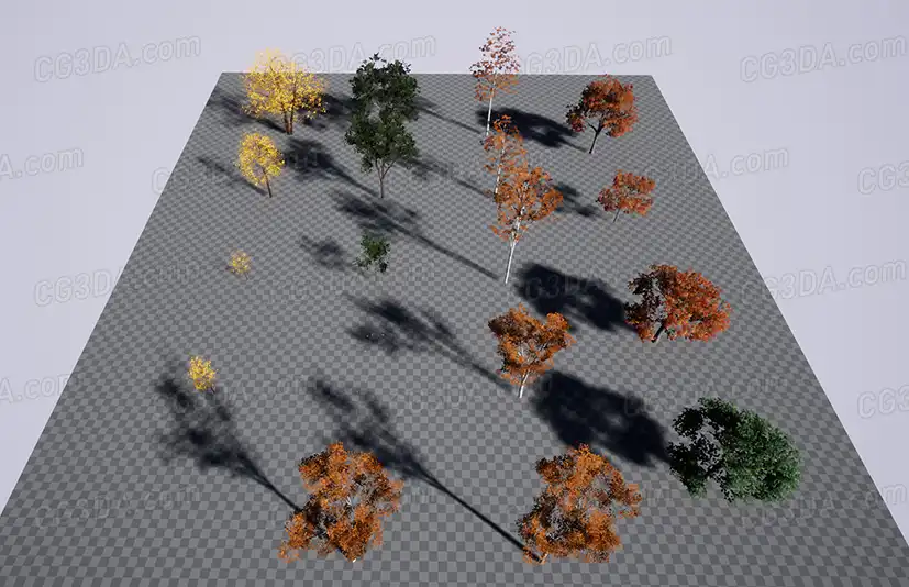 树木-XBH TREE Vol. 1