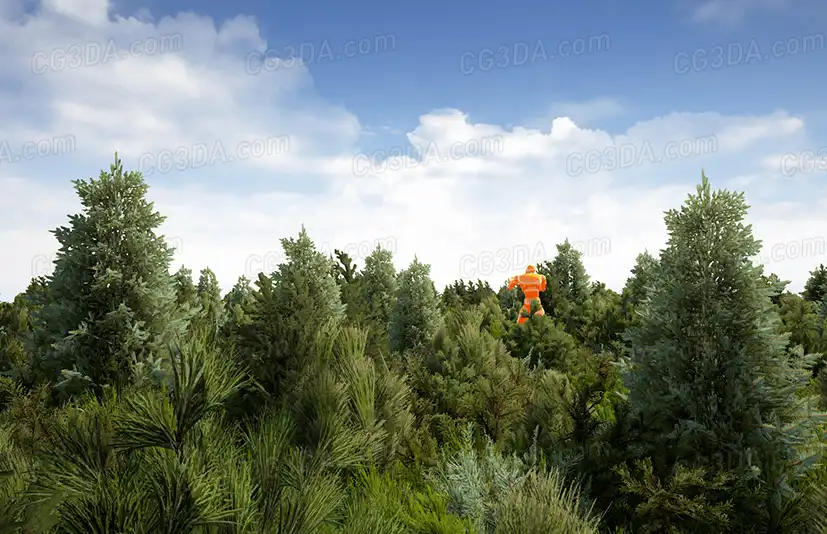 松树丛林-Yughues Pine Bushes