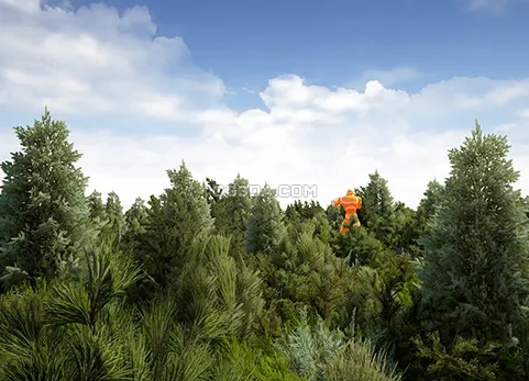 松树丛林-Yughues Pine Bushes