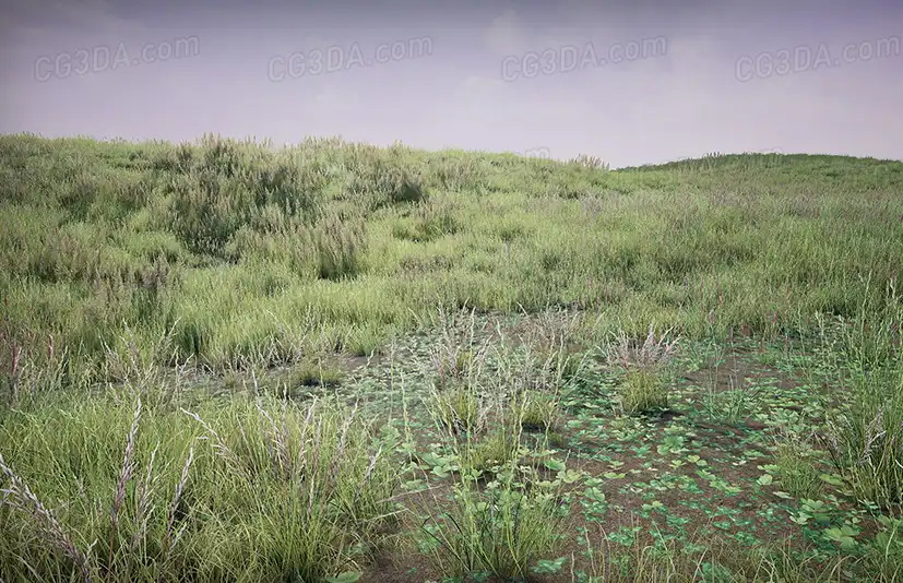 草丛草坪-Grass Pack