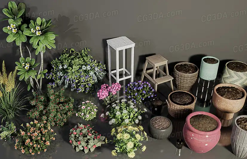 室内植物盆栽-HQ Plants Vol. 6 ( Flowered Plants )