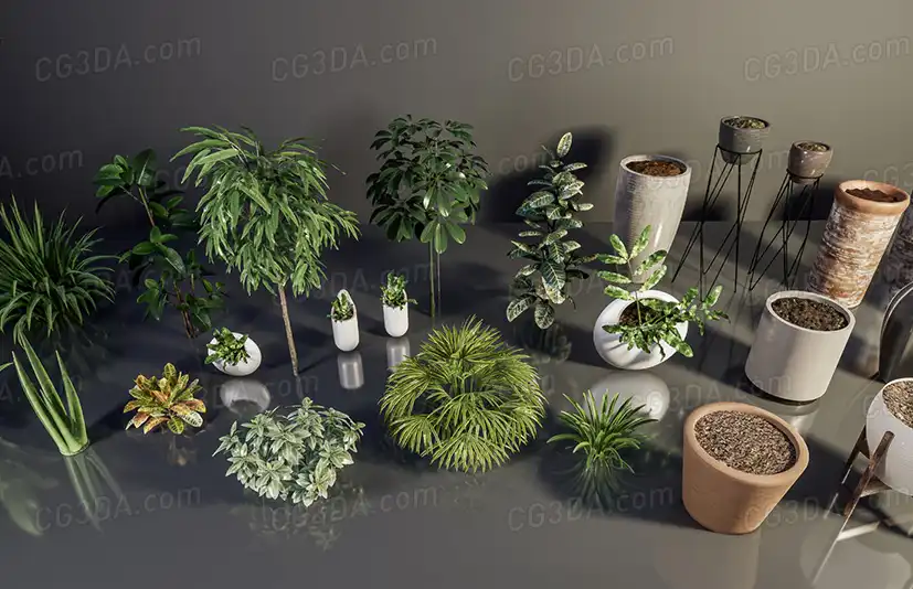 室内植物盆栽-HQ Plants Vol.1 ( Interior Plants )