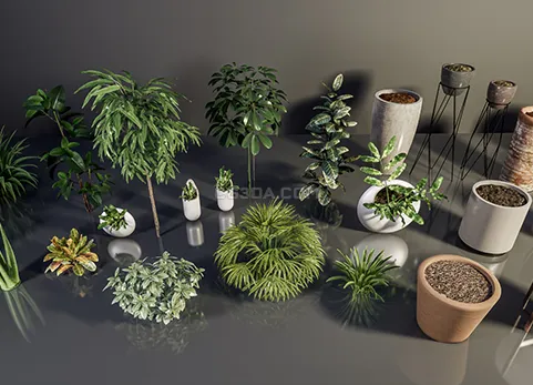 室内植物盆栽-HQ Plants Vol.1 ( Interior Plants )