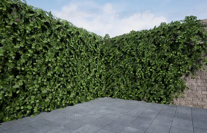 常春藤植物叶子包-Ivy Foliage Pack 4K