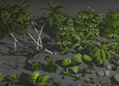 热带植物-Tropical Nature 50 Models Pack