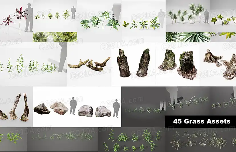 植物和草丛-Realistic Plants and Grass Pack 02
