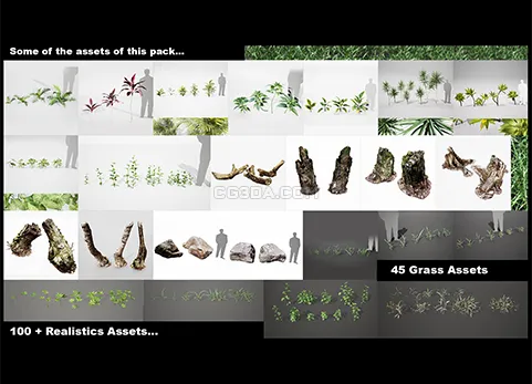 植物和草丛-Realistic Plants and Grass Pack 02