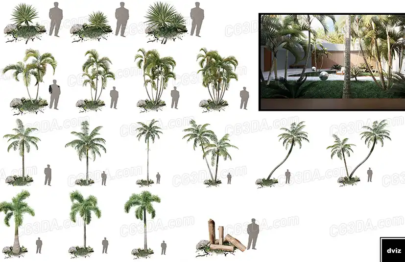 棕榈树-Realistic PALM TREE GRASS PLANTS