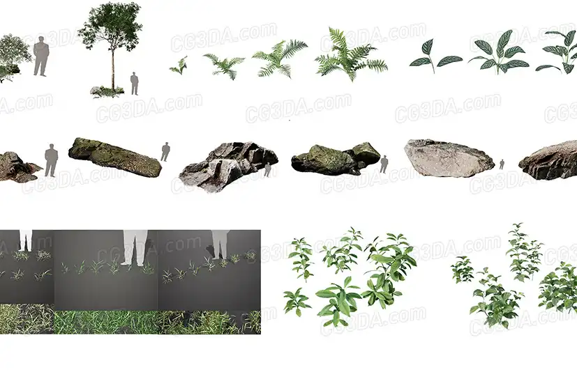 棕榈树-Realistic PALM TREE GRASS PLANTS