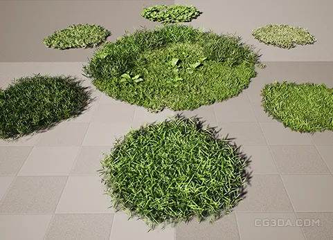 草丛-Realistic Grass Pack 01