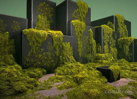 青苔苔藓-Mossy piles