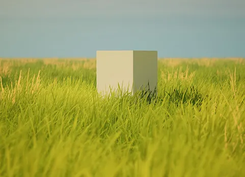 风格化草入门包 - Stylized Grass Starter Pack