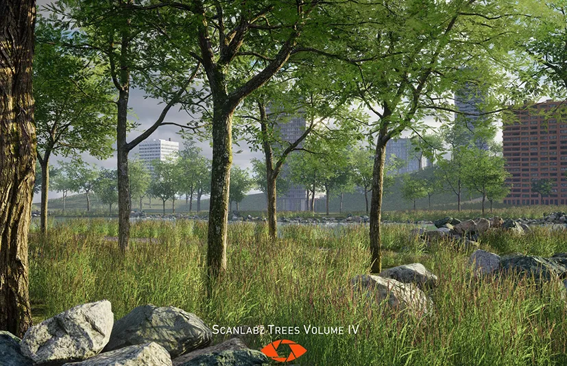 皂荚树 - Scanlabz Trees _ Honeylocust Tree