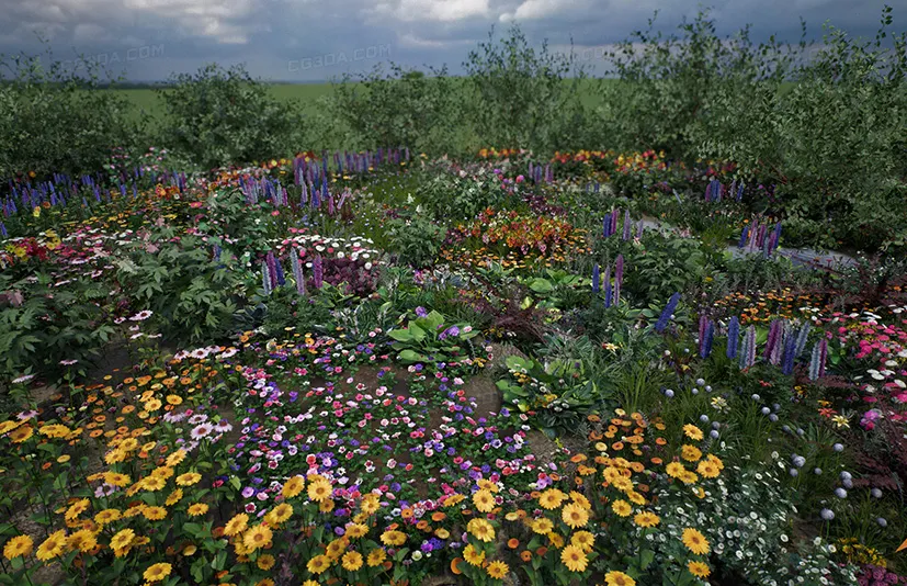 花卉与植物自然系列-Flowers and Plants Nature Part 1