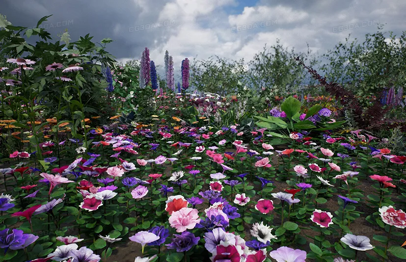 花卉与植物自然系列-Flowers and Plants Nature Part 1