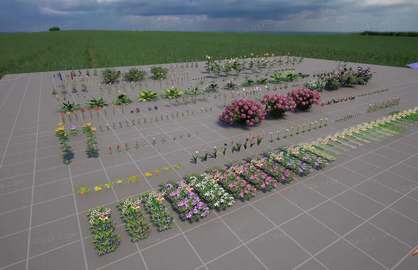 花卉与植物自然系列-Flowers and Plants Nature Part 1