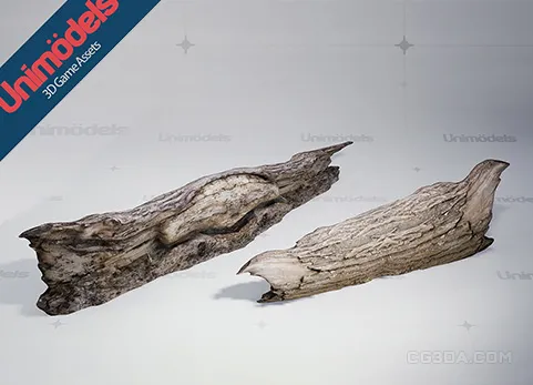 森林树干扫描包 - Forest Trunks Photoscanned