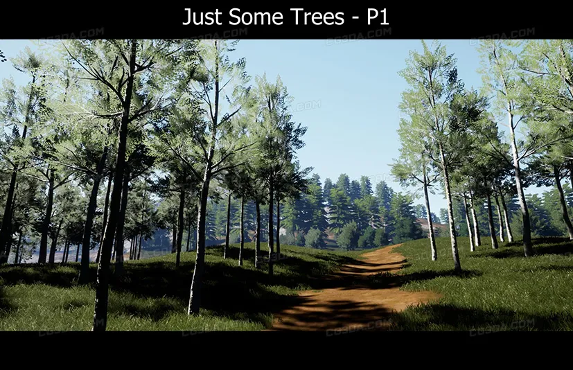 21棵独特树木 - Just Some Trees - P1