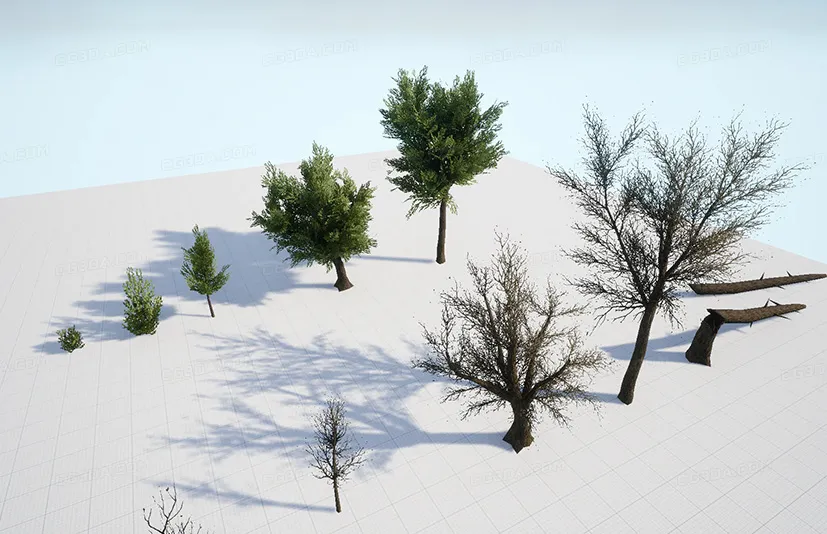 低面树包 - Low Poly Trees Pack