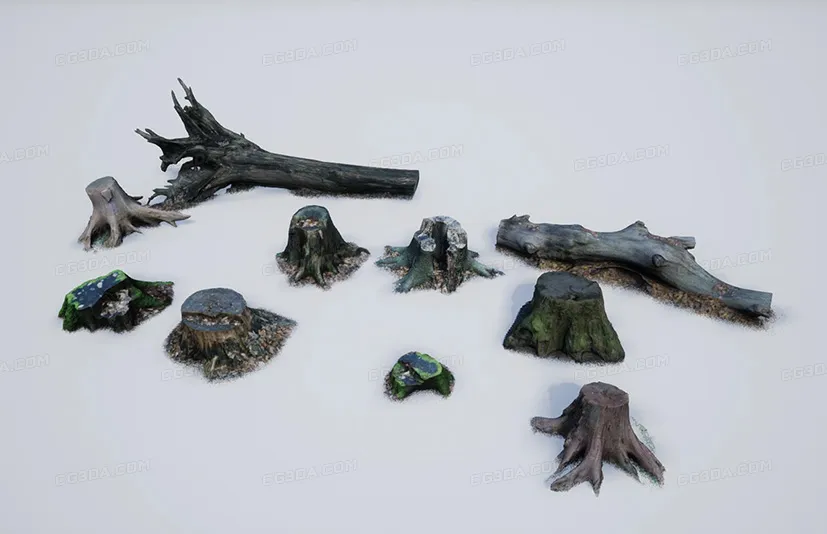 逼真树桩/树干扫描包 - Photo-scanned Realistic Tree Stumps / Trunks