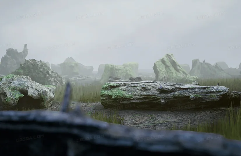 扫描树桩 - RealiScan Photogrammetry Stumps