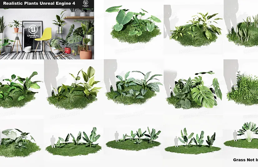 逼真植物、花瓶和环境套装 - Realistic Plants, Vases and Environments Pack