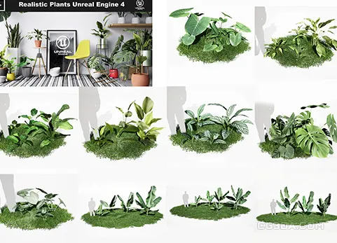 逼真植物、花瓶和环境套装 - Realistic Plants, Vases and Environments Pack