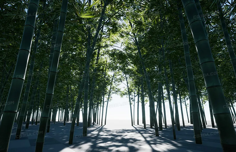 竹林-XBH TREE Vol. 3