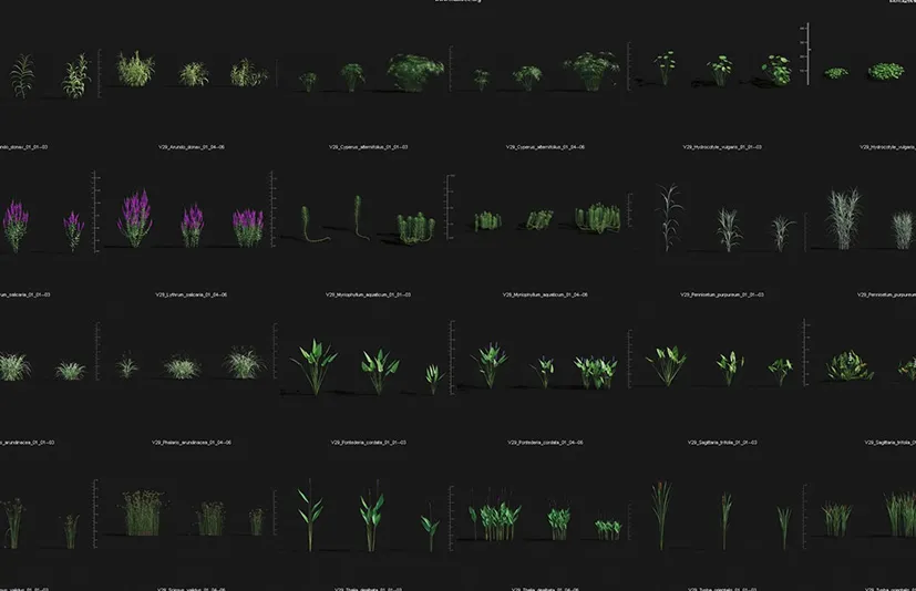 植物模型 - Plant Models Vol 29