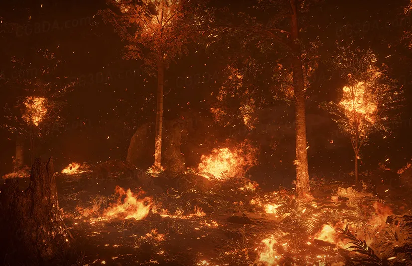森林山火-Forest Fire