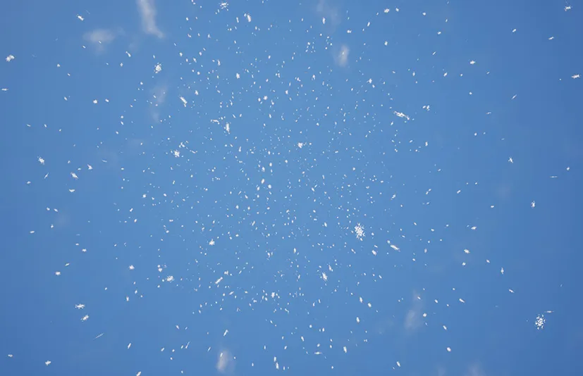 特效天气 - Niagara Weather