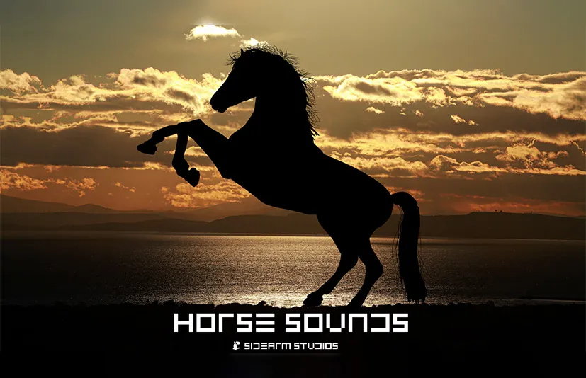UE音乐音效-马的声音 - Horse Sounds Pro