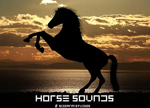 UE音乐音效-马的声音 - Horse Sounds Pro