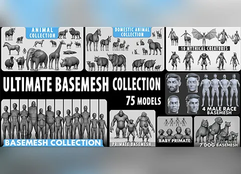 终极基础模型集合包 - Ultimate Basemesh Collection - Topology + UV Map