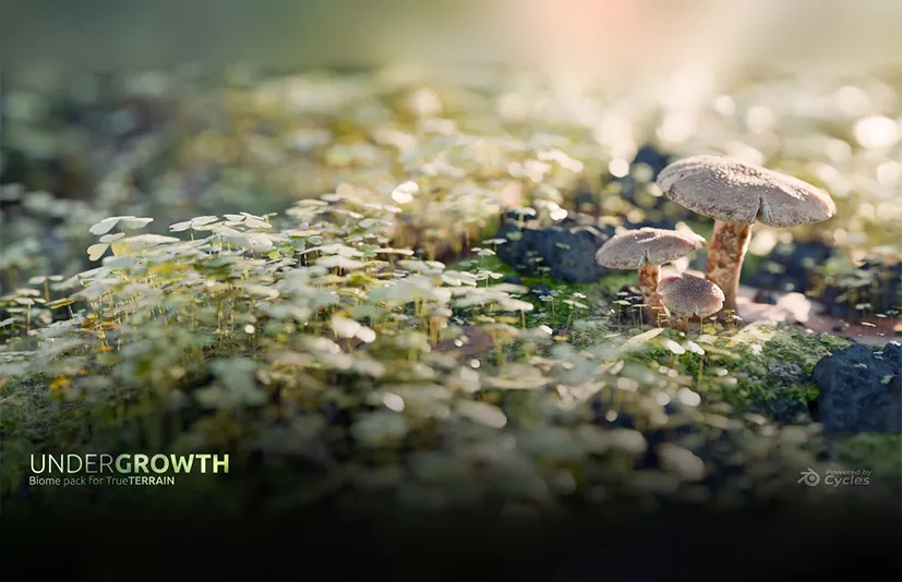 Blender灌木丛资源库 - Undergrowth  Asset Library