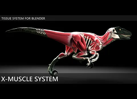 Blender肌肉系统模拟工具 - X-Muscle System v4.0.7