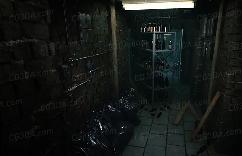 阴暗地下室-Horror Corridor