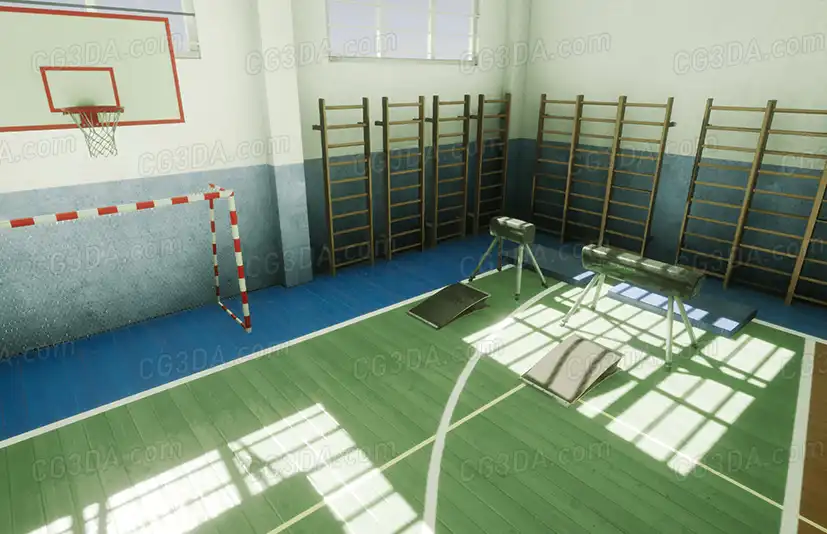 学校室内篮球场-School gym