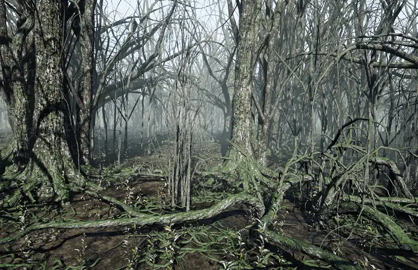 黑暗森林-Dark Forest