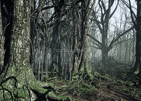 黑暗森林-Dark Forest