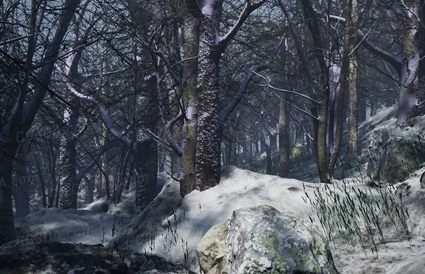 寒冷森林-Cold Forest