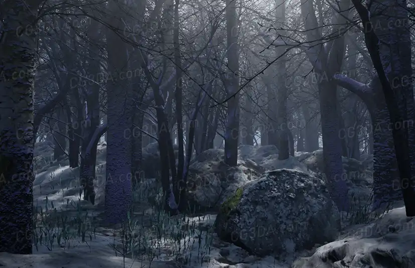 寒冷森林-Cold Forest