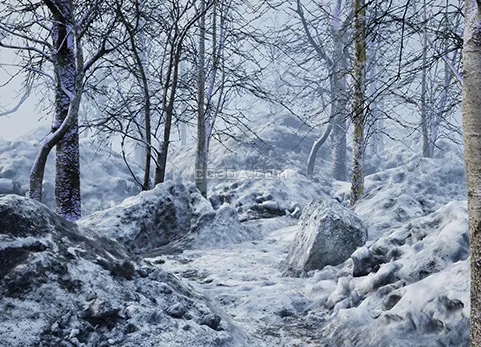 寒冷森林-Cold Forest