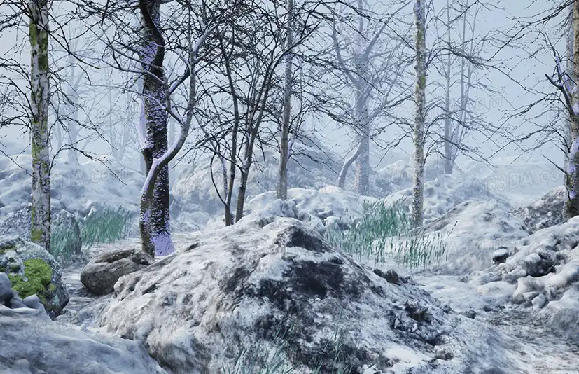 寒冷森林-Cold Forest