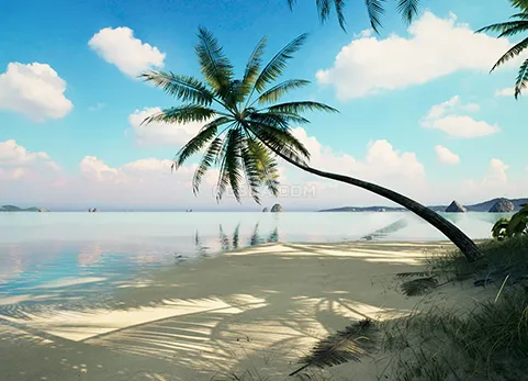 热带岛屿-Brushify - Tropical Pack