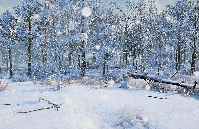冬季森林-Winter Nature