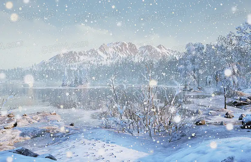 冬季森林-Winter Nature