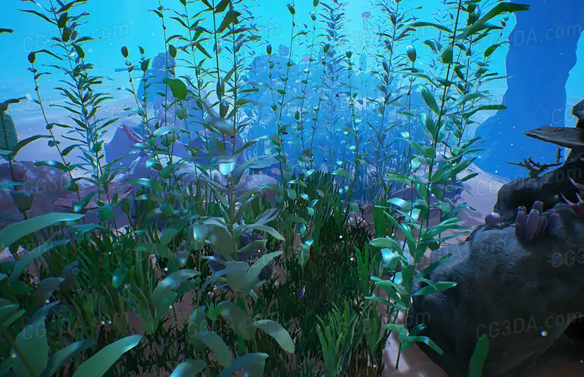 海底珊瑚礁-Reef Kit